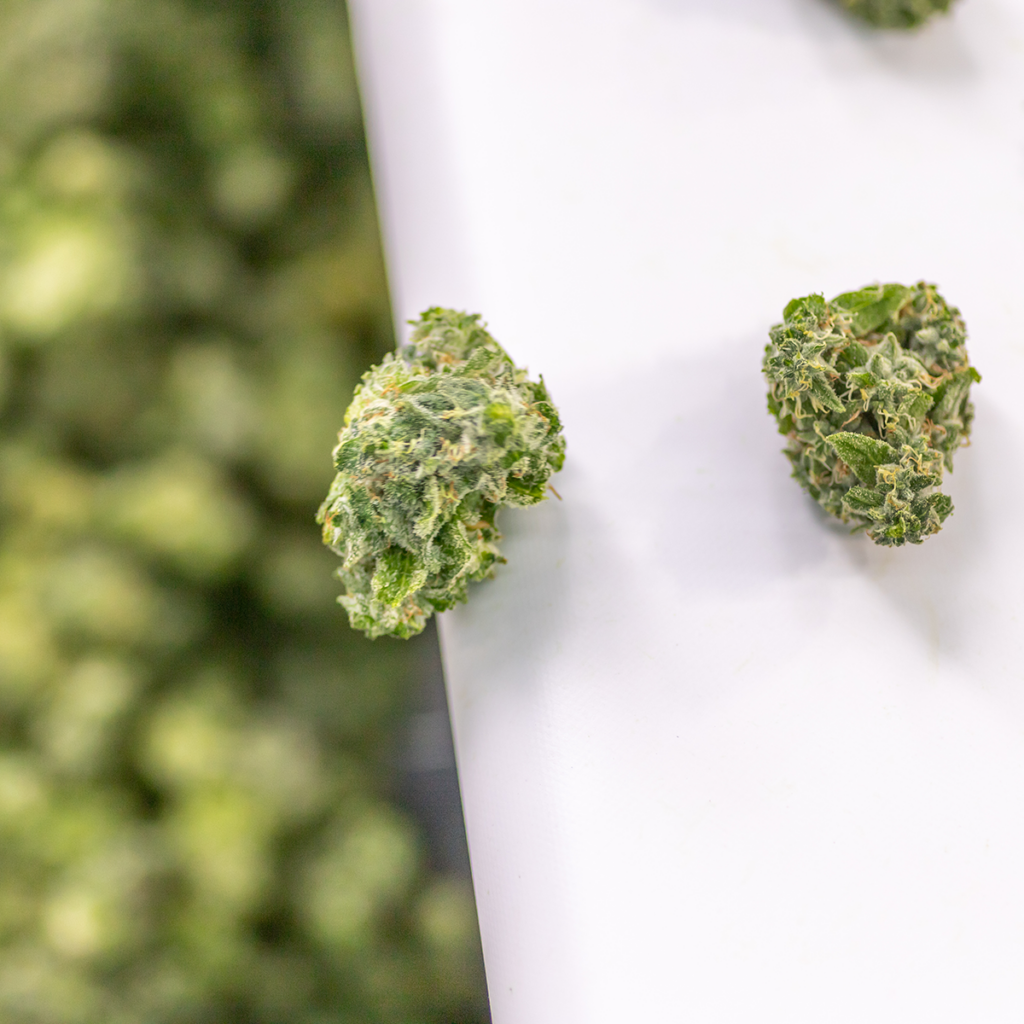 Trichome Retention after machine trimming