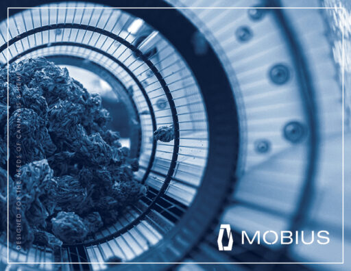 Mobius Brand Guide