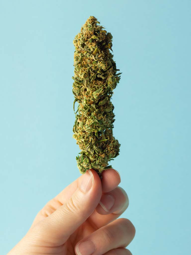 Hand-Holding-Dried-Cannabis Hand-Holding-Dried-Cannabis