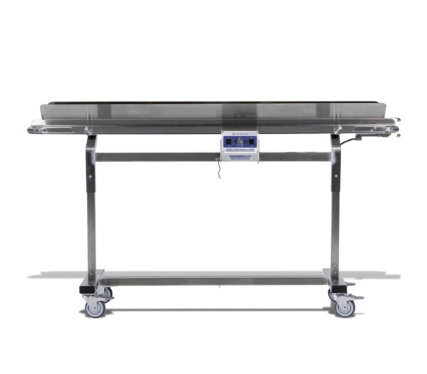 Mobius Infeed Conveyor - Image 2