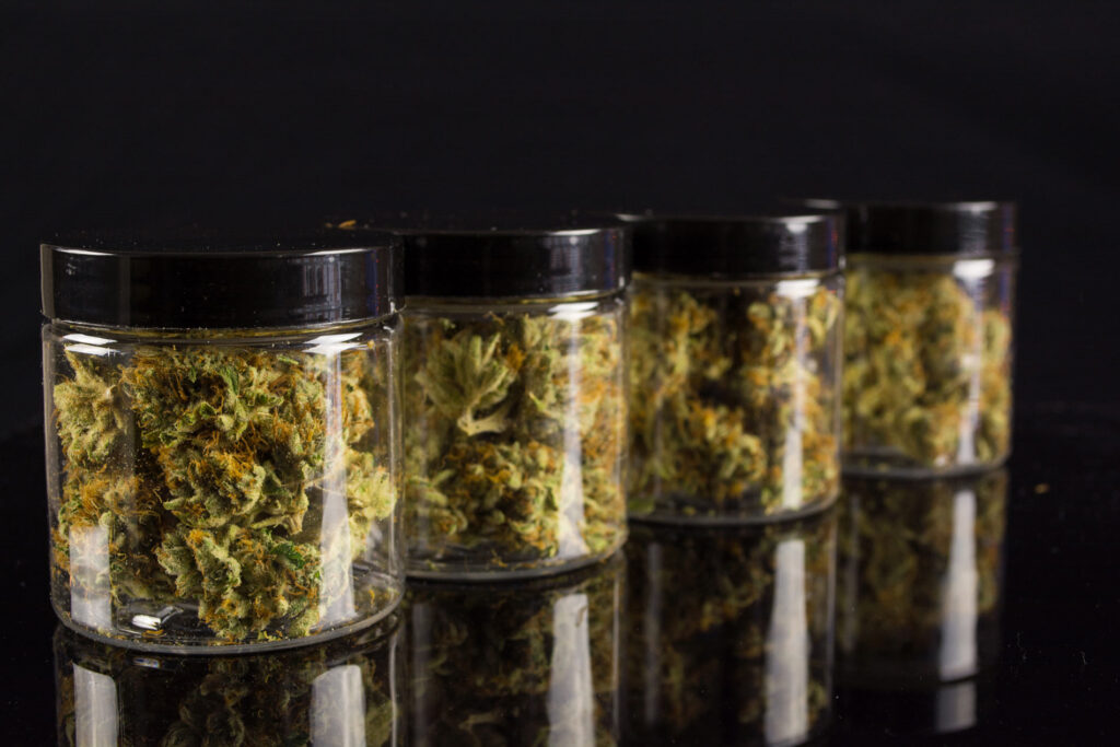 curing cannabis