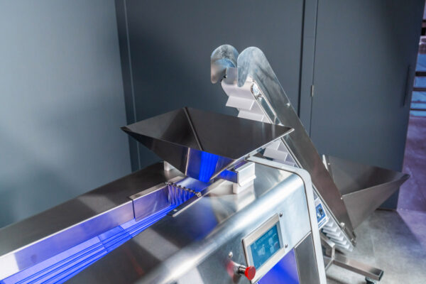 bud sorter and cannabis conveyor