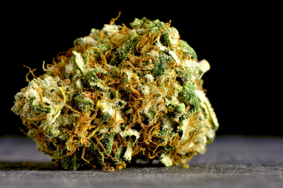 trimmed cannabis flower