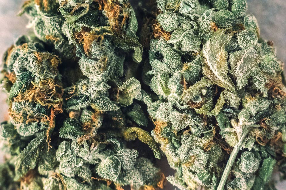 cannabis flower