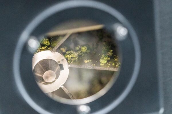 M210 cannabis grinder with flower