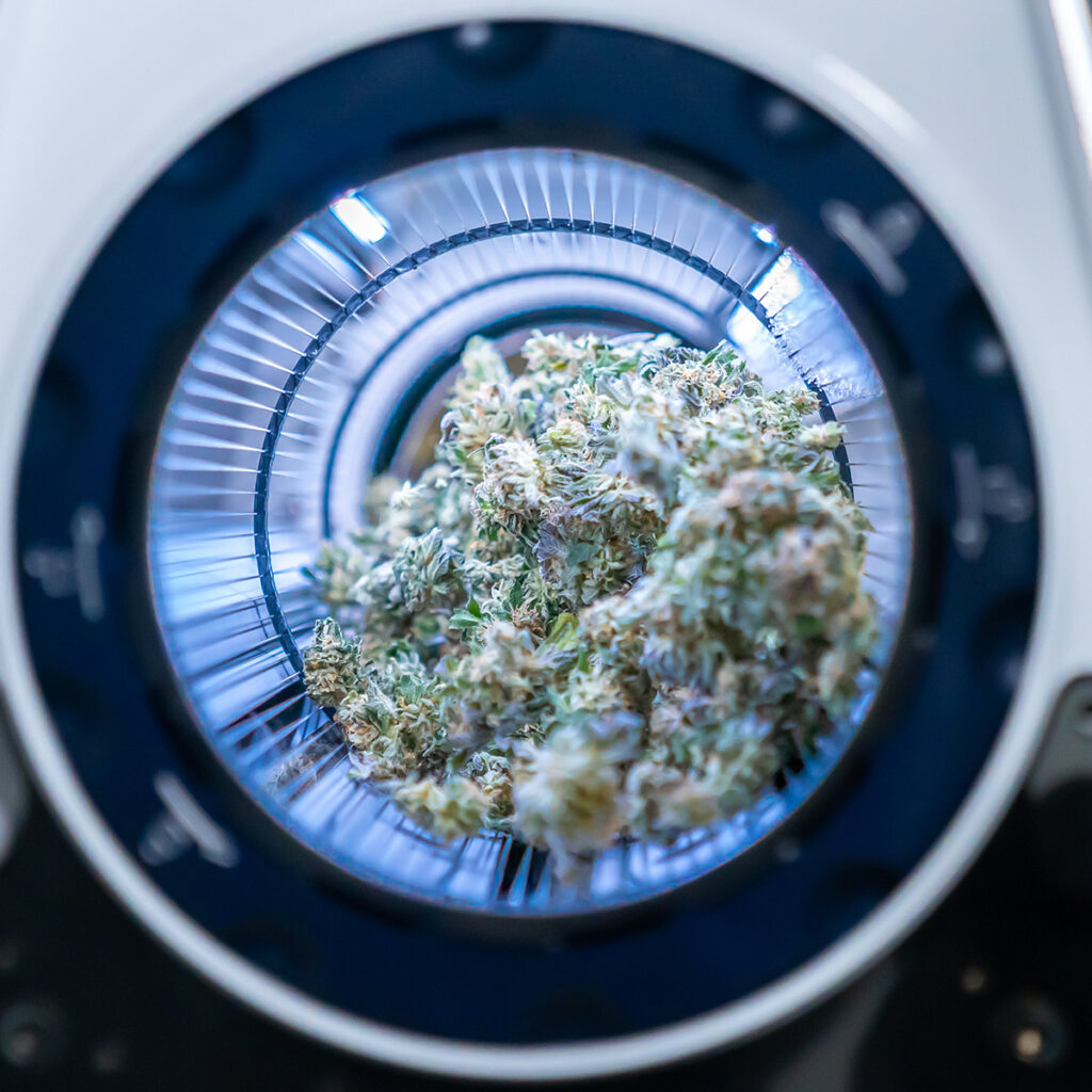 mobius trimmer trimming dry product