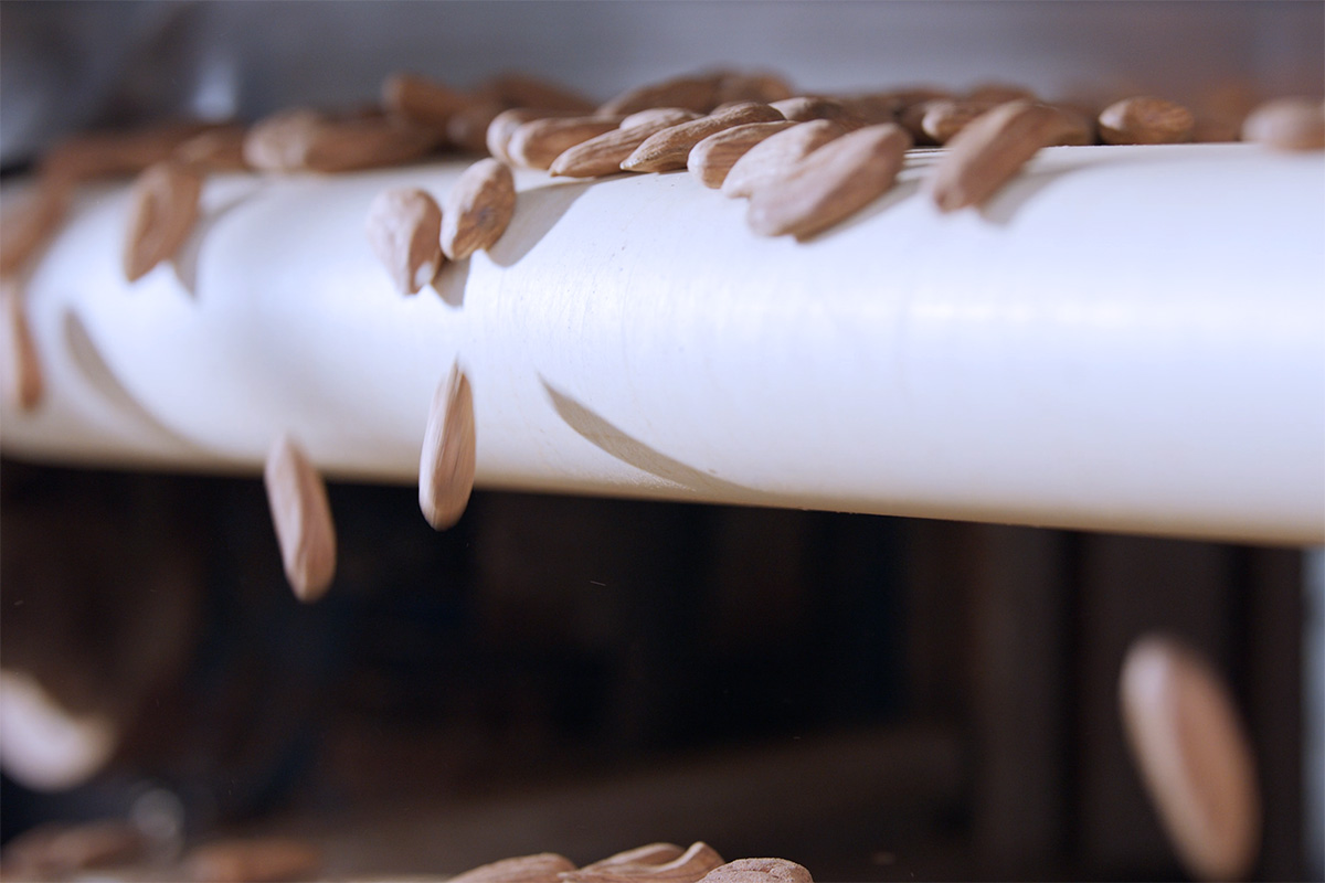 almonds-on-conveyor