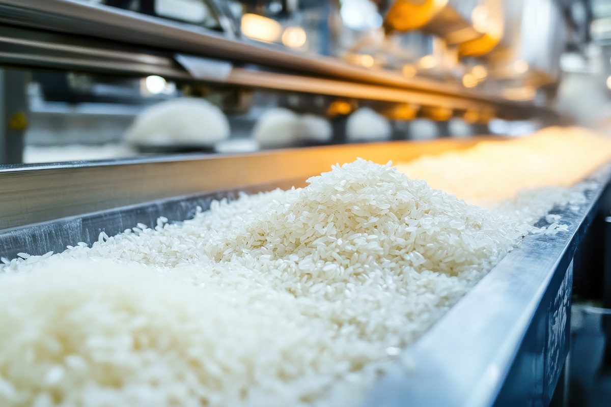 rice on conveyor belt