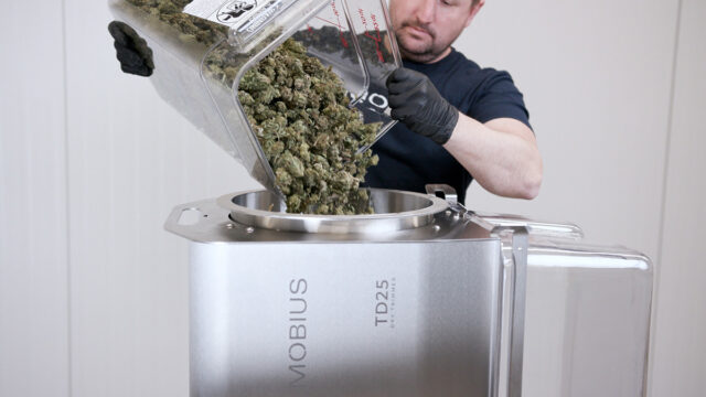 Machine Operator loading cannabis flower into the TD25 Dry Trimmer