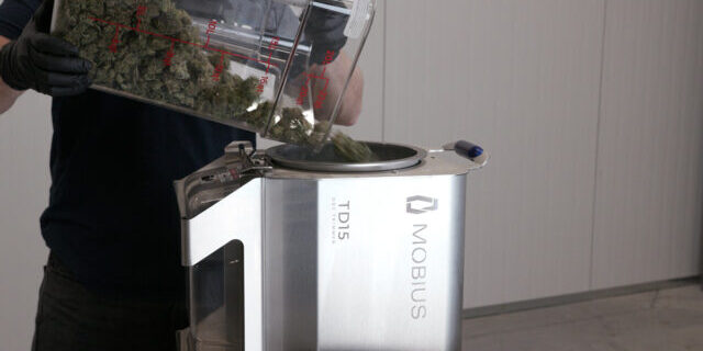 Machine Operator loading cannabis flower into the TD15 Dry Trimmer
