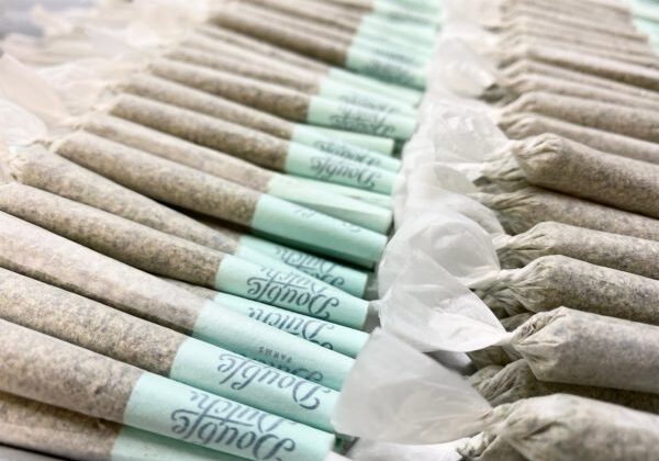 Mobius Cannabis mill results Cannabis pre roll