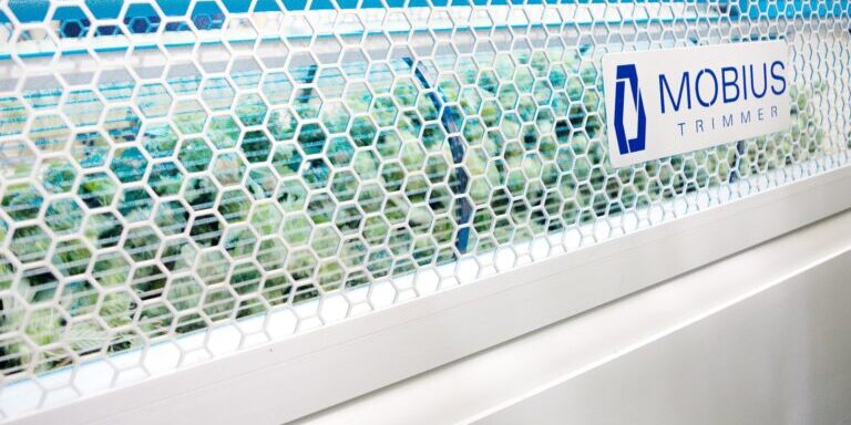 m108-damage-flower-1