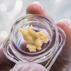 potent solventless cannabis extract