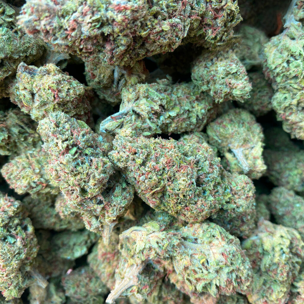 Neatly Trimmed Cannabis Buds