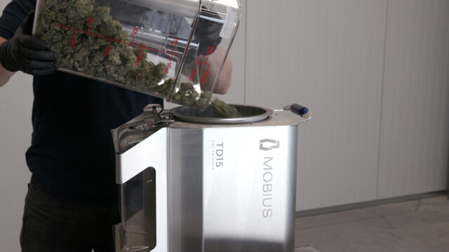 Operator pouring untrimmed flower into the TD15 Dry Trimmer