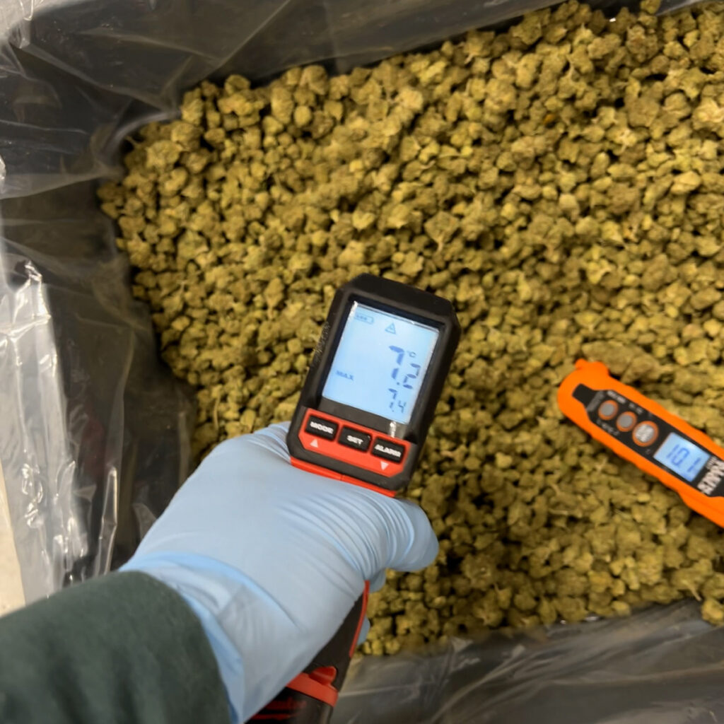 temperature controlled cannabis processing room