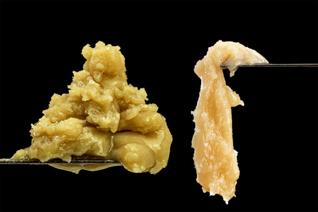 Flower Rosin Vs Hash rosin