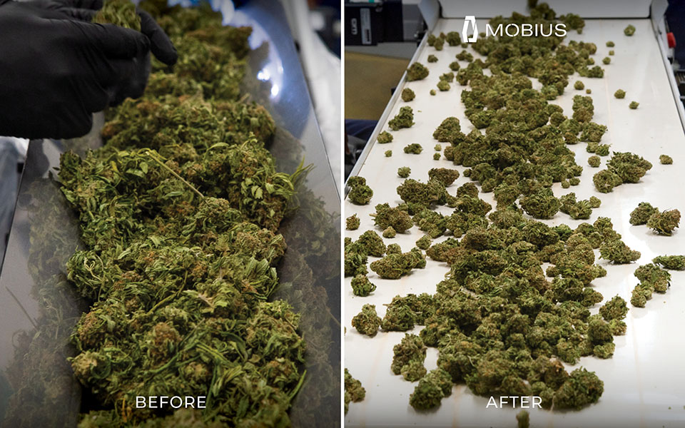 M108S Trimmer results