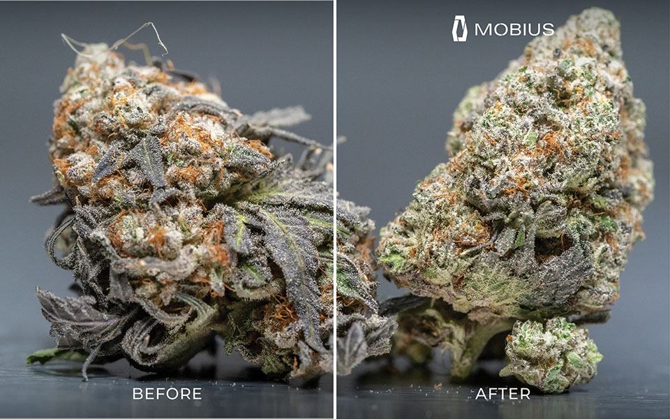 M108S Trimmer results