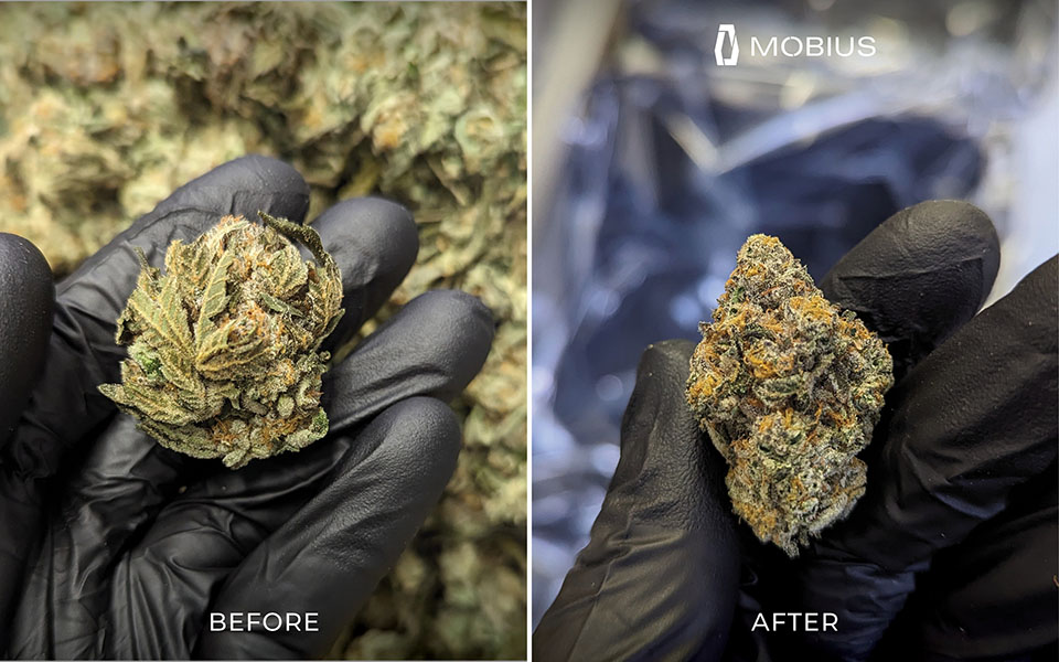 M108S Trimmer results