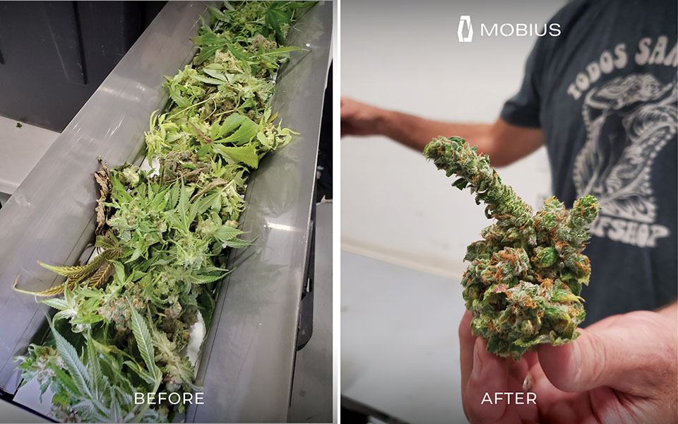 M108S Trimmer results