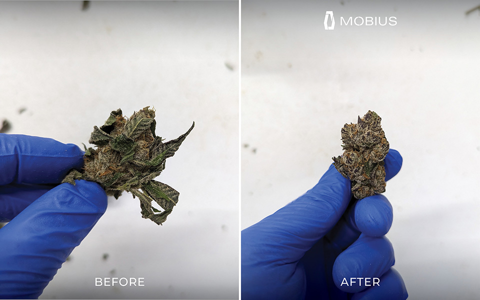 M108S Trimmer results