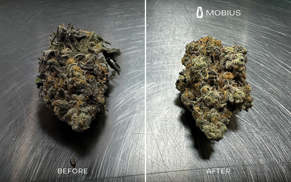 M108S Trimmer results