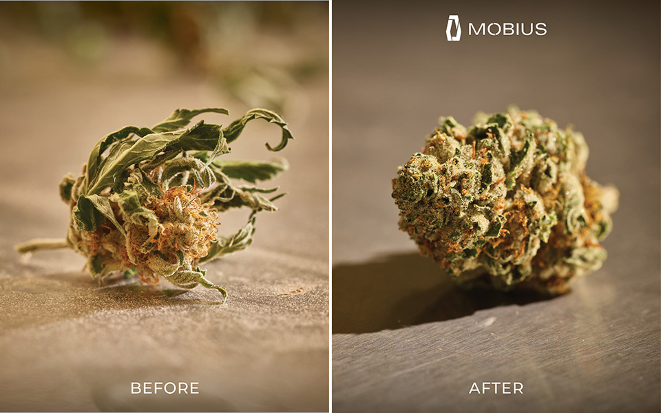 M108S Trimmer results