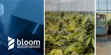 Bloom-blog-header-