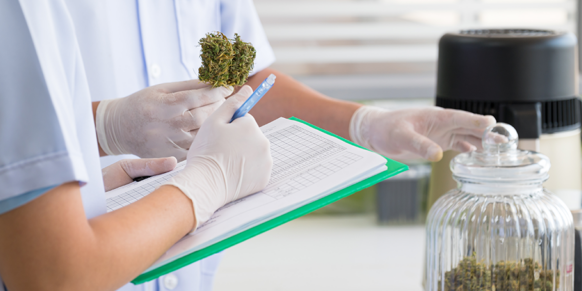 BubbleHashExperiment