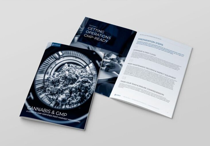 GMP Manufacturing Standards