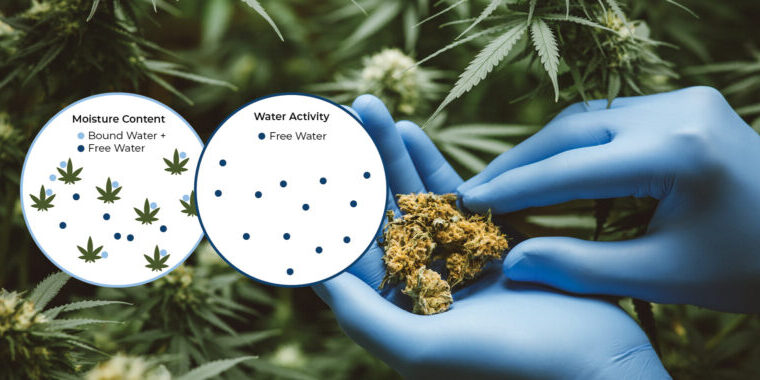 Moisture Content vs Water Activity Moisture Content vs Water Activity in Cannabis