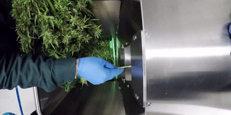 Getting Serious About Cultivation Equipment: Cannabis Buckers We’ll always appreciate the effort it takes to run a cannabis cultivation facility the old way