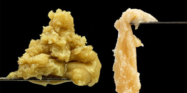 Flower Rosin Vs Hash rosin