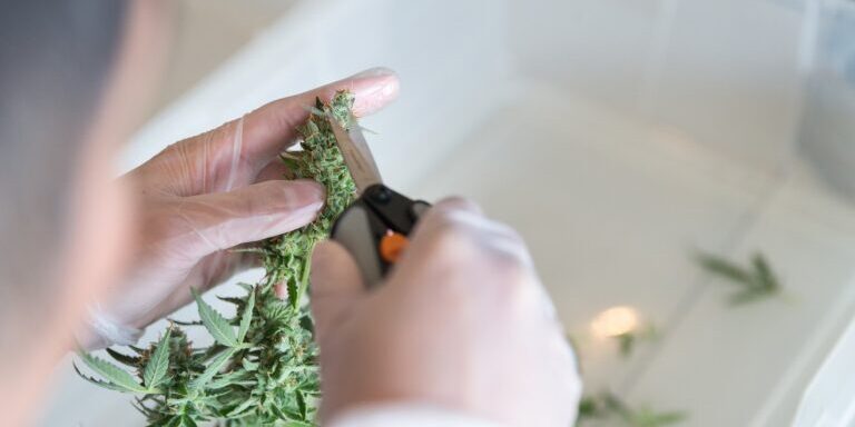 handtrim handtrim