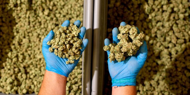 sorted-buds-mobius-m9_ sorted-buds-mobius-m9_